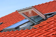 Bierton roof window